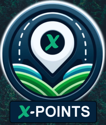 X-Points